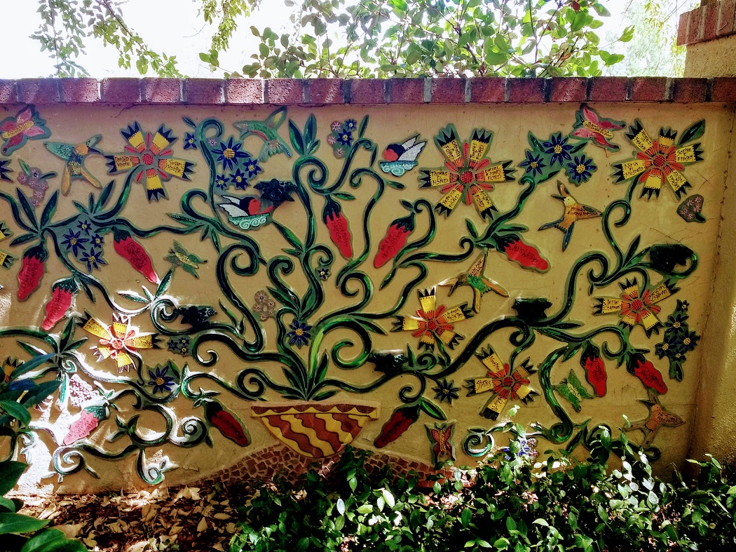 图森植物园（Tucson Botanical Garden）丨美国图森-27