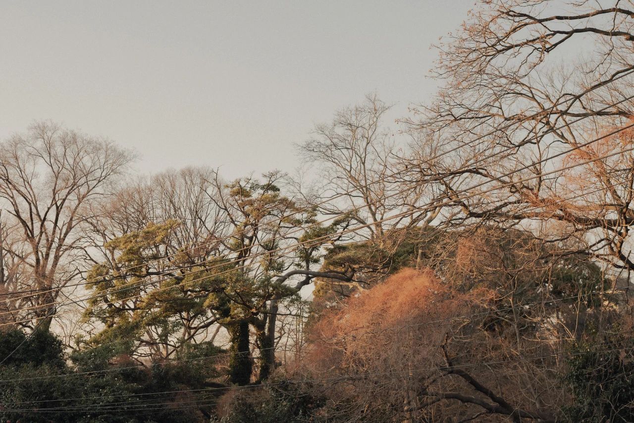 日本东京57㎡老公寓改造丨平山健太-3