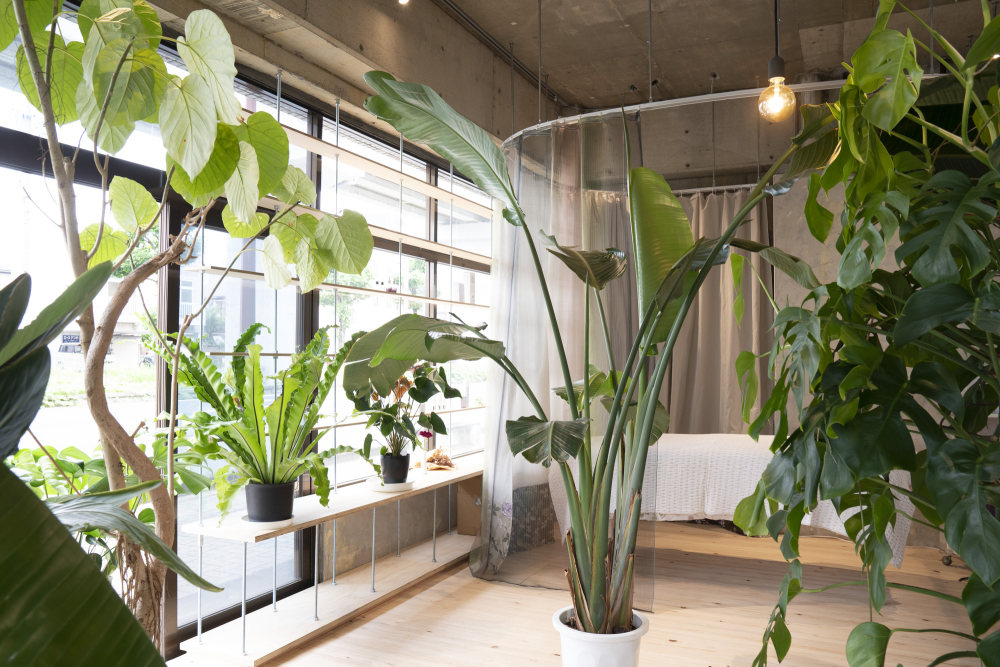 日本 Hamamatsu 沙龙 PURETE 设计丨Yumiko Tokuno Architecture Office-18