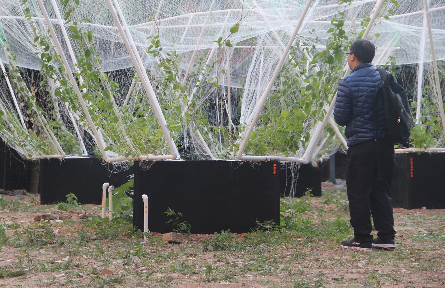 深圳天际农场 · 农民智慧融入城市更新-34