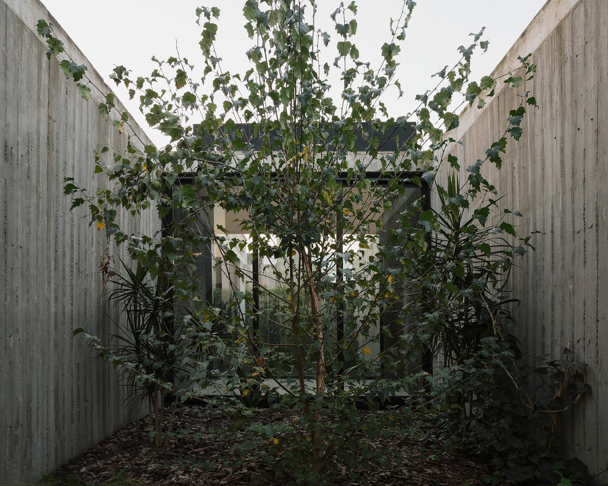 井字棋屋丨阿根廷布宜诺斯艾利斯丨VDV ARQ-28