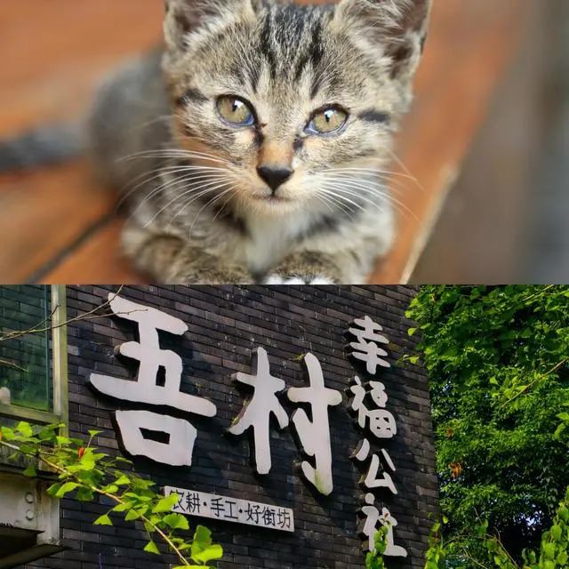 成都幸福公社 · 乡村里的幸福设计丨中国成都-25