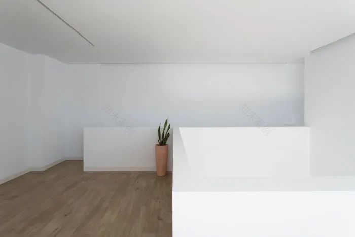 奇普和乔普之家丨西班牙丨David Ruiz Molina-15