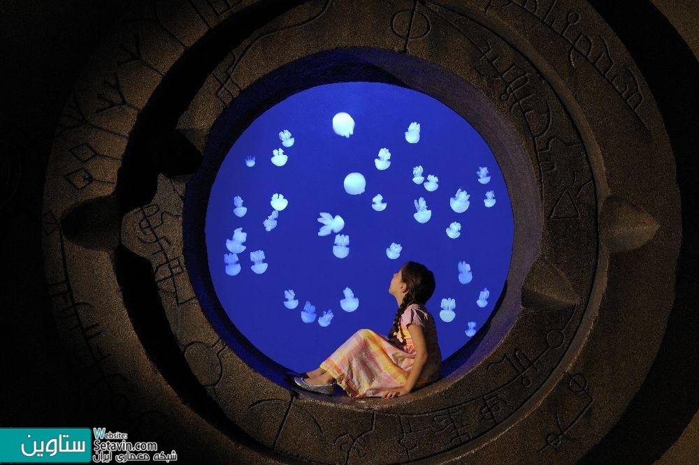 亚特兰蒂斯酒店（Atlantis The Palm）丨阿联酋迪拜-70