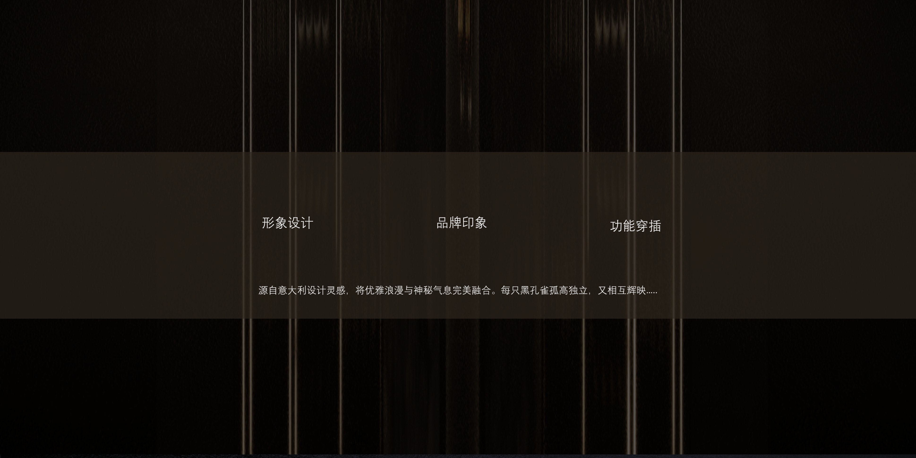 意式奢华风格柜体设计-1