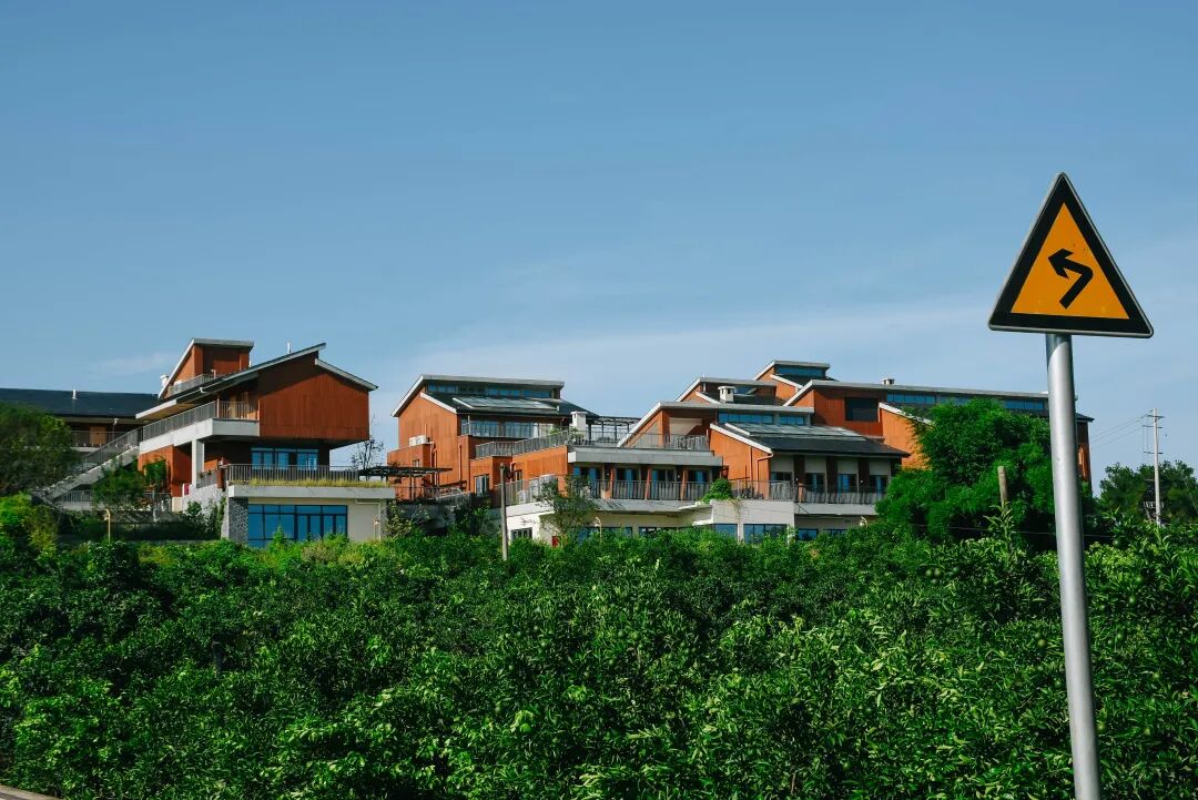 一场人与场地共生的创新实验｜铁牛村青年乡建实践营活动回顾-7