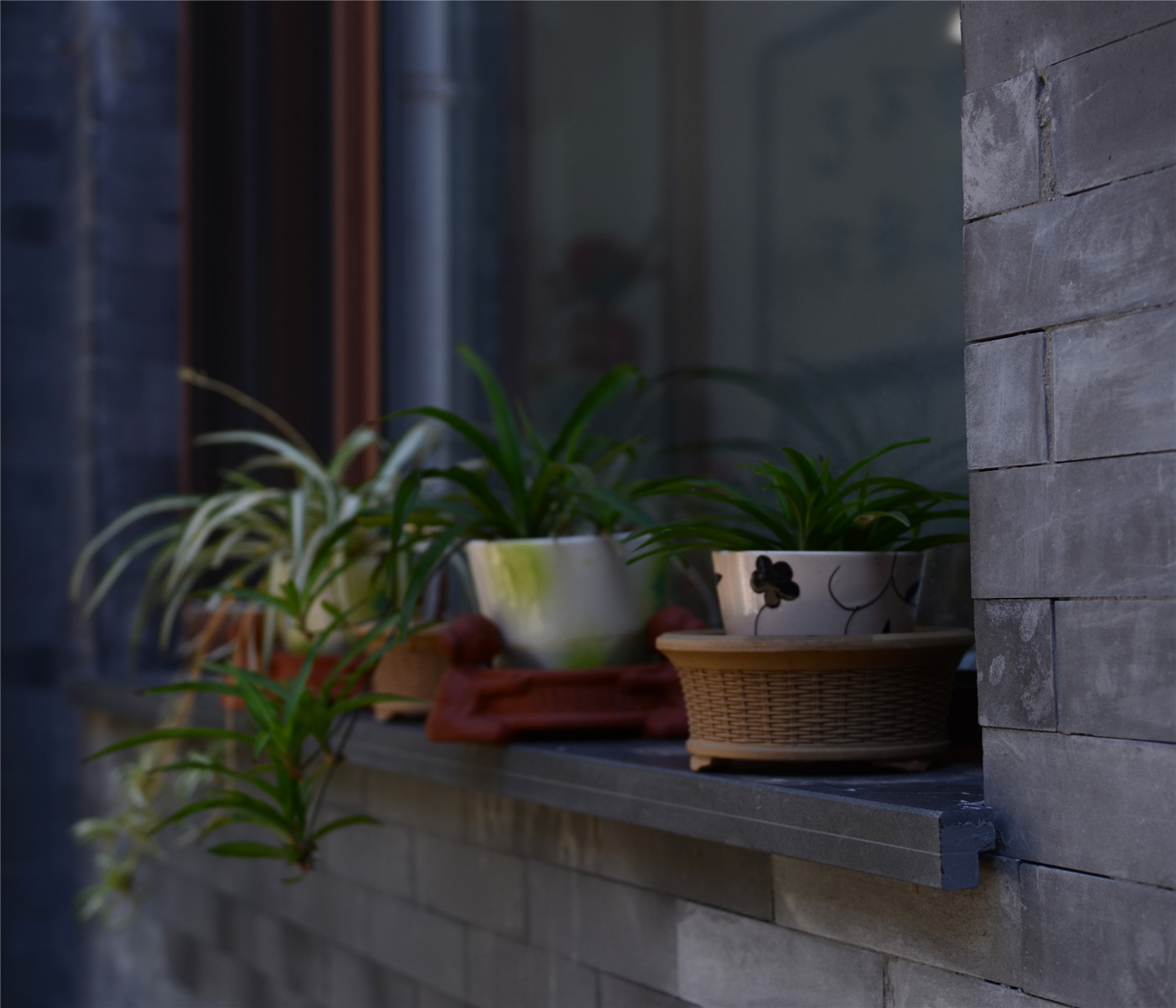 河北白洋淀民居改造-13