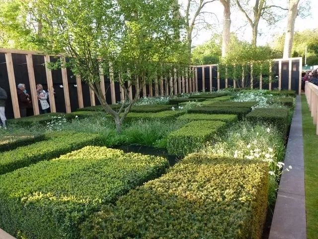 用植物营造空间氛围丨艺汉卿-5