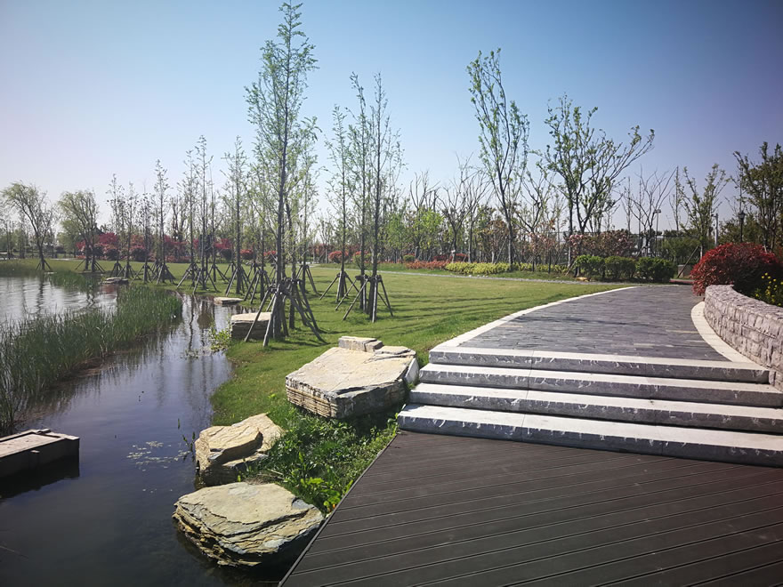 泰兴市虹桥镇虹润湿地公园-5