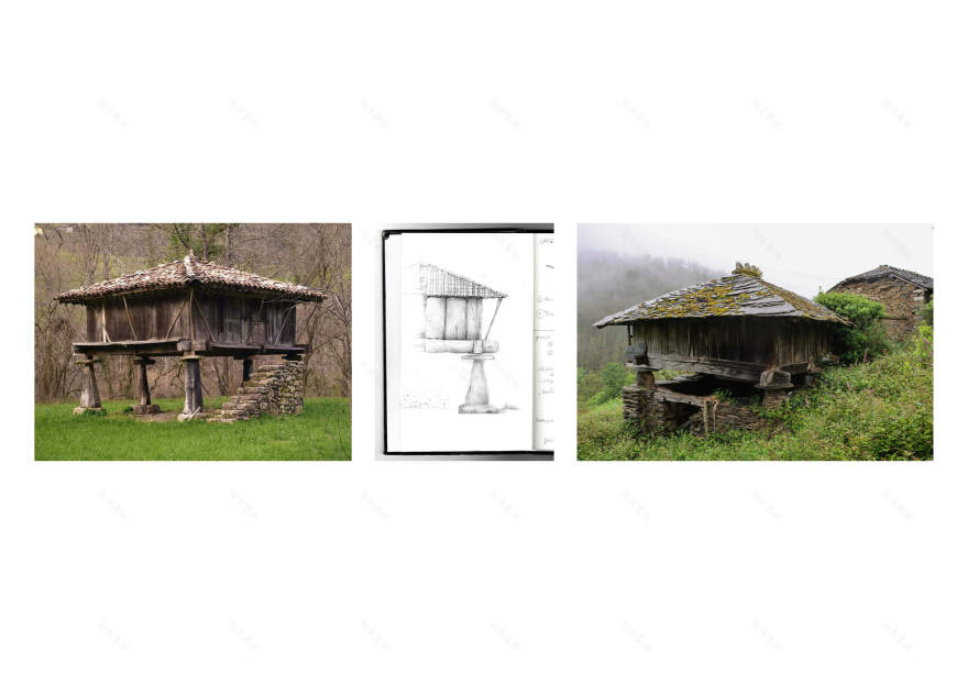 Taller Agropoetico - Foresta Collective / Atelier Poem-42