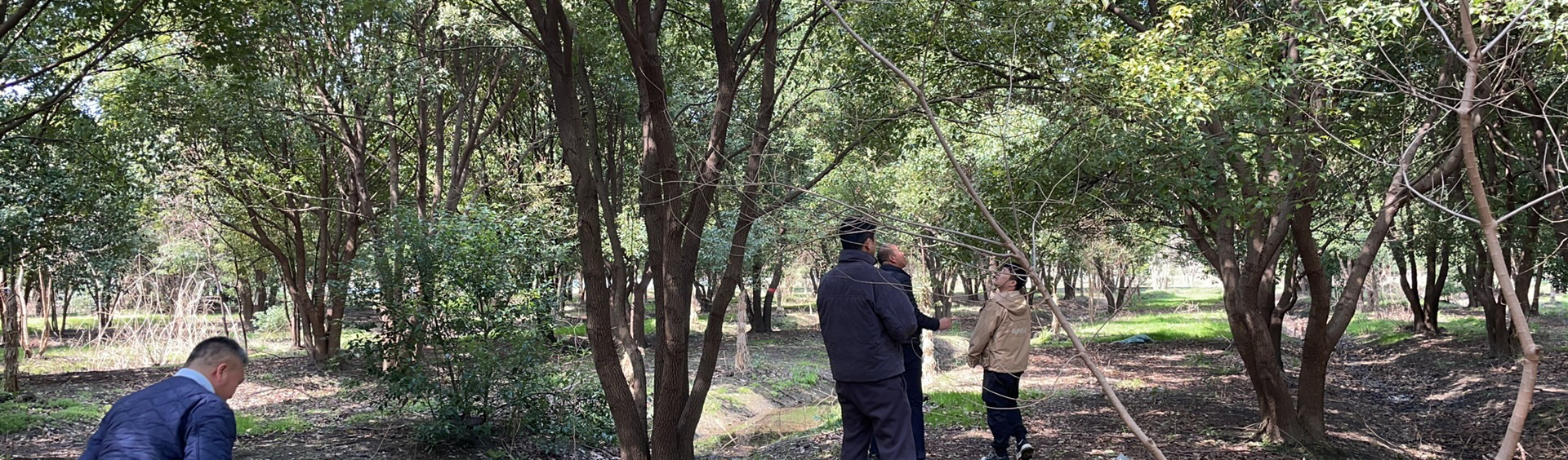 招商蛇口·上海康定壹拾玖丨中国上海丨景观设计为上海日清景观设计有限公司等多家-14