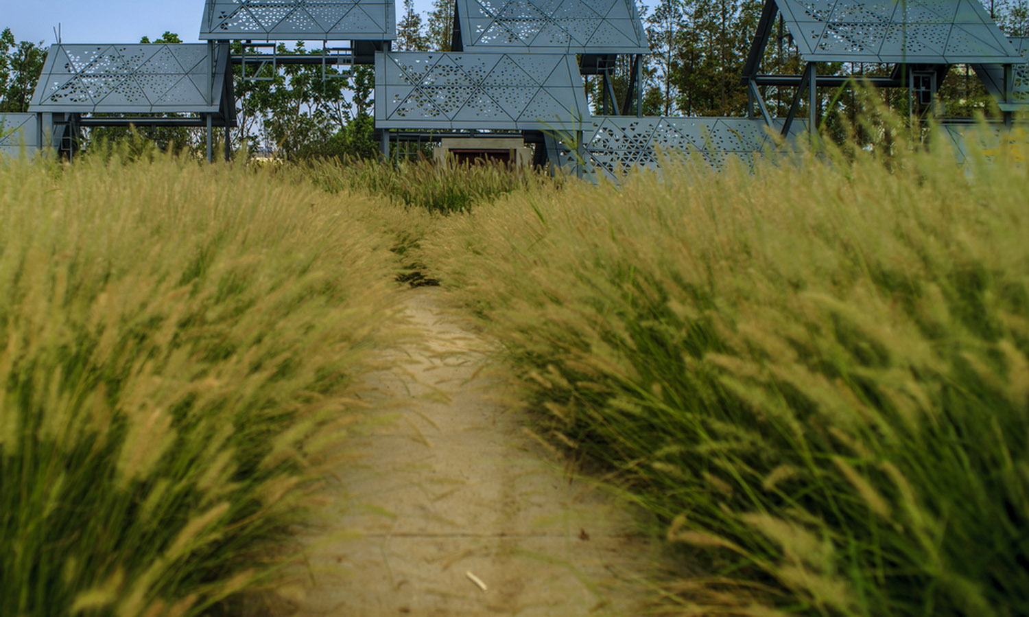 2015第十届中国（武汉）国际园林博览会《乡园》/ 中创环亚-5