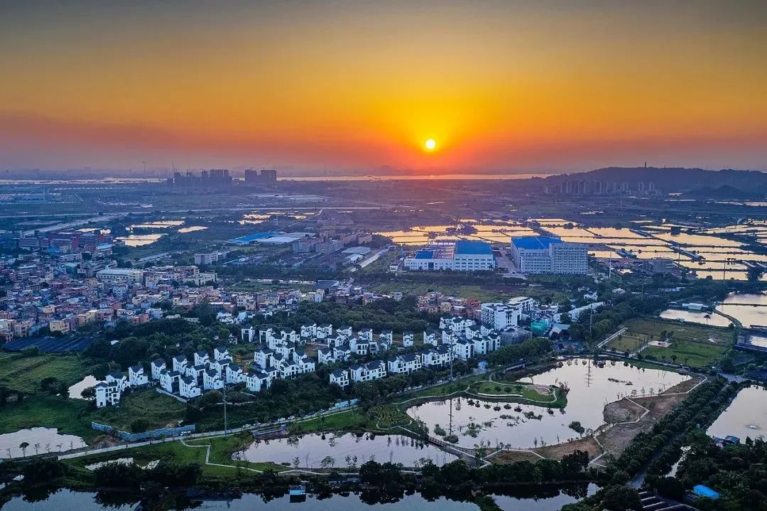 广州文化艺术村景观规划设计丨中国广州丨棕榈设计集团有限公司-26