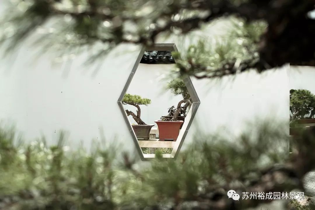 泰州荣园盆景园-36