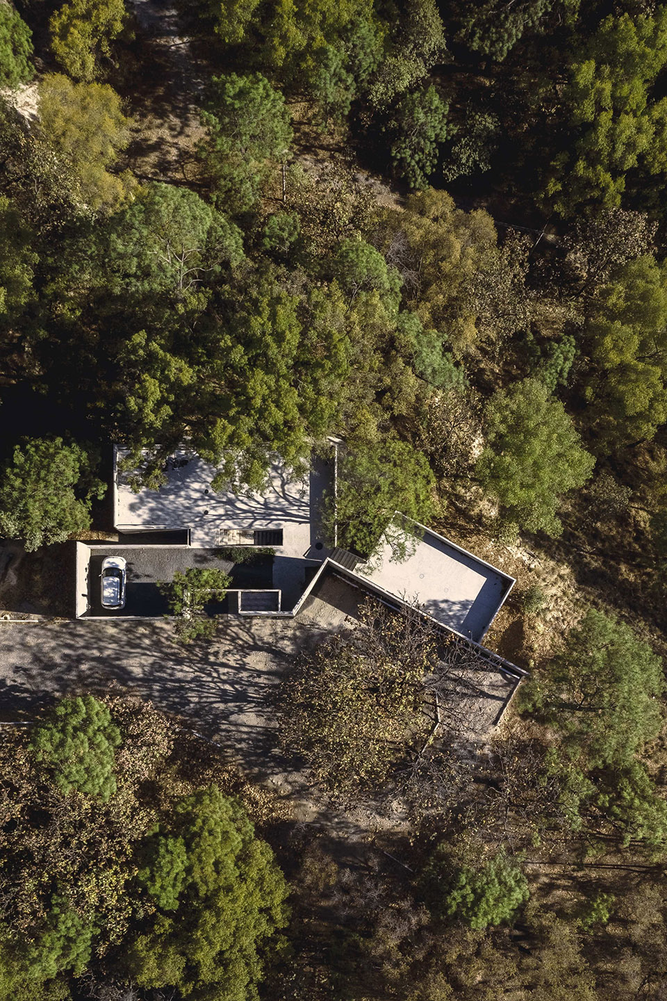 AMAPA 住宅丨墨西哥瓜达拉哈拉丨Pérez Gómez Arquitectura-11