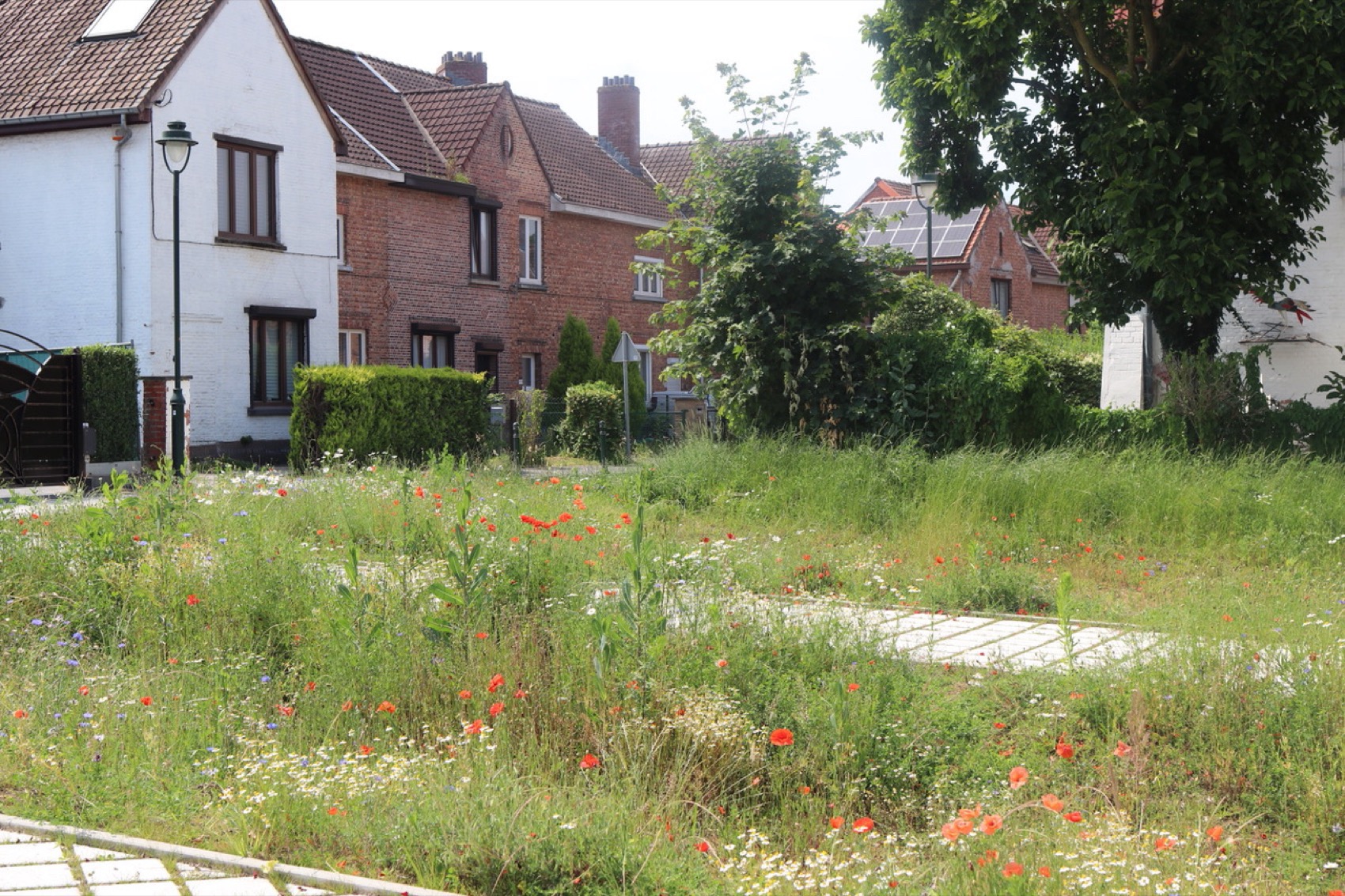 当代花园城市丨比利时丨L’atelier DEV architecture-13