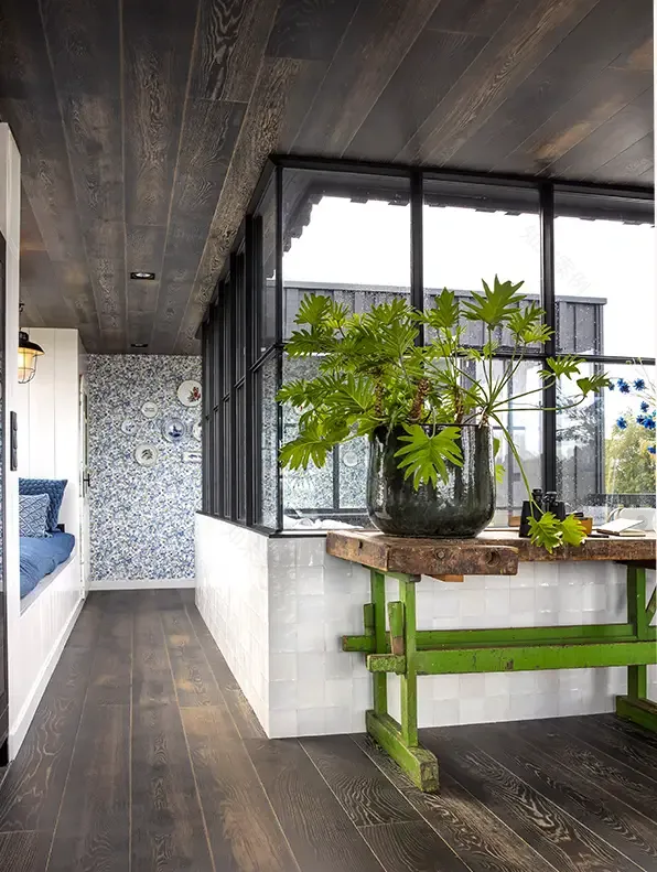 荷兰水上集装箱之家(Zwarte Zwaan)-6