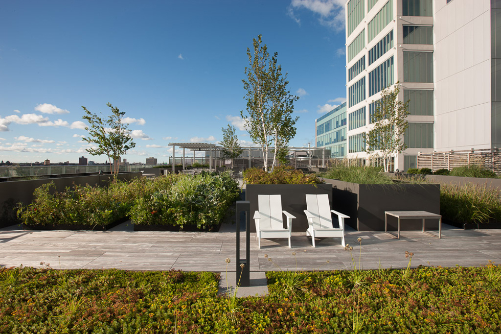 1K Fulton 办公楼-7