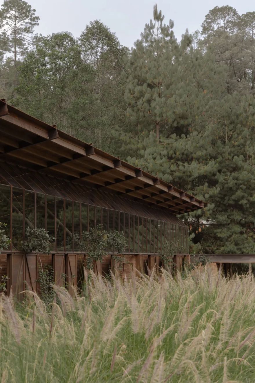 马术圣拉蒙丨墨西哥丨Módica Ledezma-17