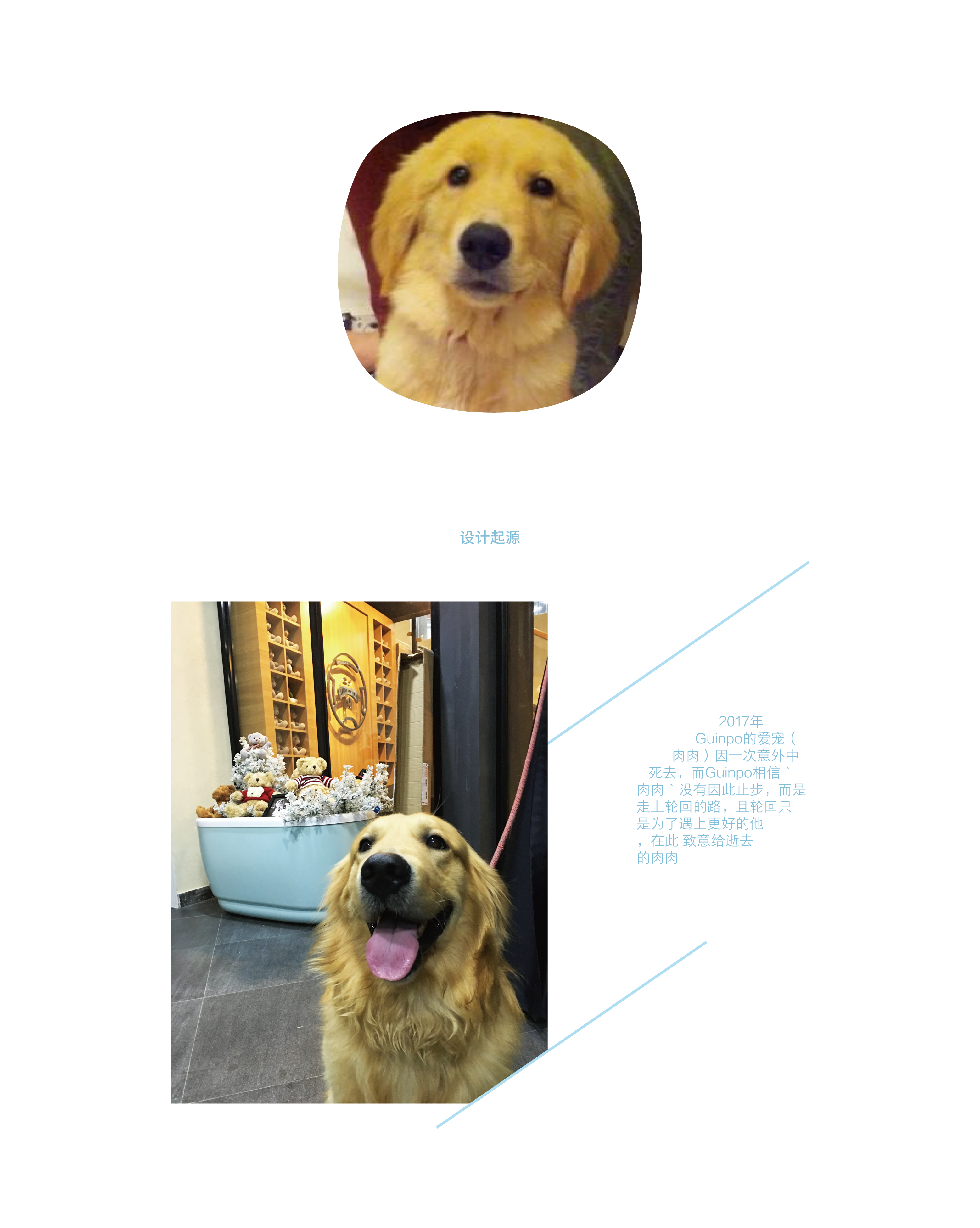 温暖宠物店设计，宝贝它传递爱-10