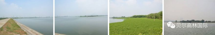 合肥新华•御湖庄园-21