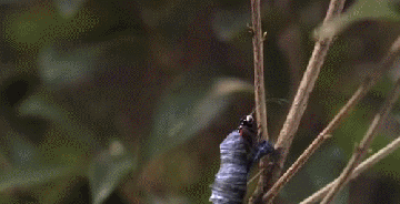 上海天华建筑设计有限公司 · GBD 设计杜文彪 ·售楼处 · GBD 杜文彪专辑-79