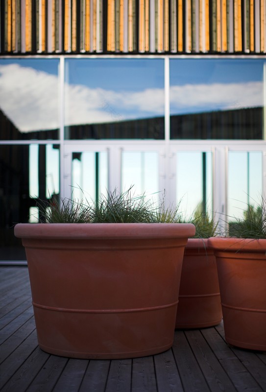 someru community centre-28