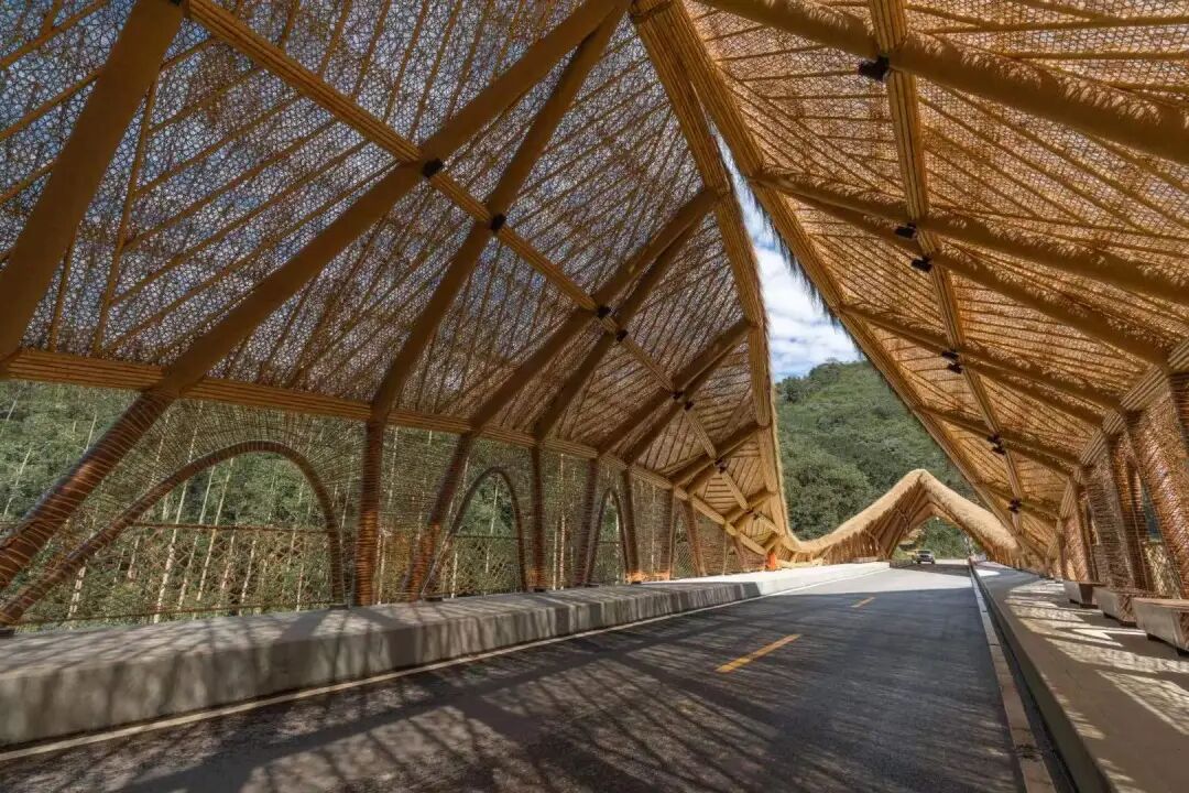 竹境案例|天人山水大地艺术园-竹桥-12