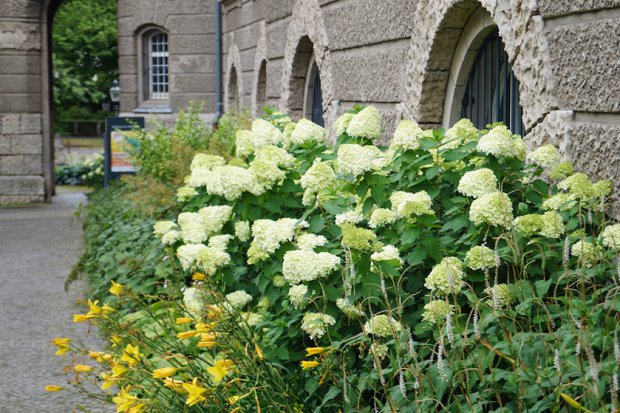 不伦瑞克市立博物馆丨Büro Christian Meyer-5