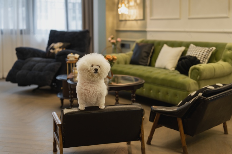 《弥·秘》老钢窗拱形门小复古住宅设计-32