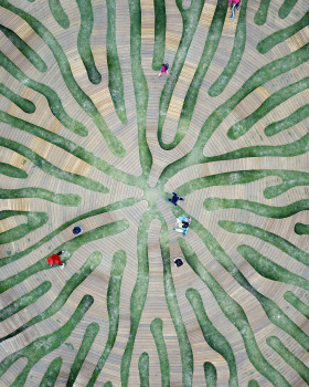首尔汉江艺术公园“Root Bench”丨韩国首尔丨Yong Ju Lee Architecture