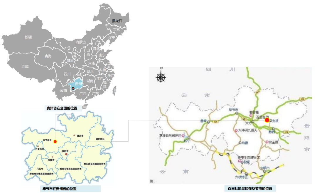 百里杜鹃天坑大草原户外探险,坡地运动项目丨中国毕节丨新空间集团-8