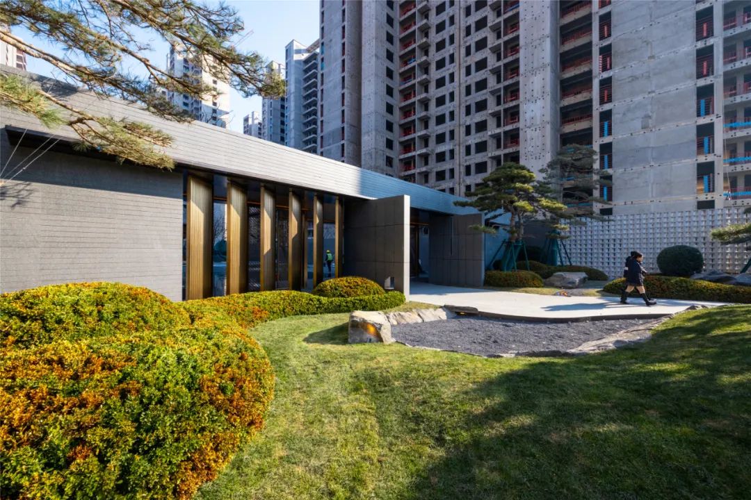 金沙操盘 | 成功经验：从河南火到全国各地（实地考察+主题演讲）-126