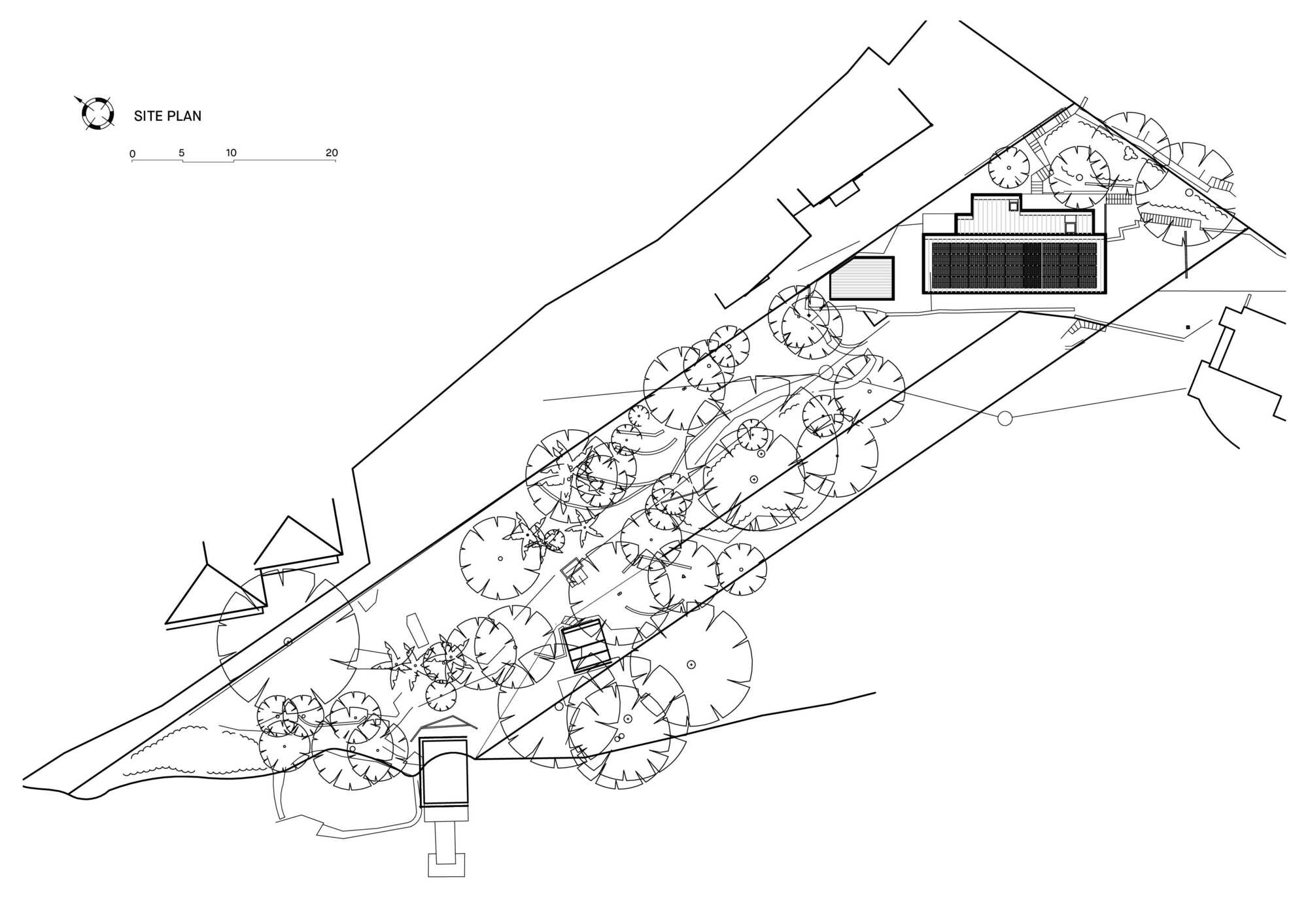 托臂式房屋丨澳大利亚悉尼丨Nick Bell Architects-15