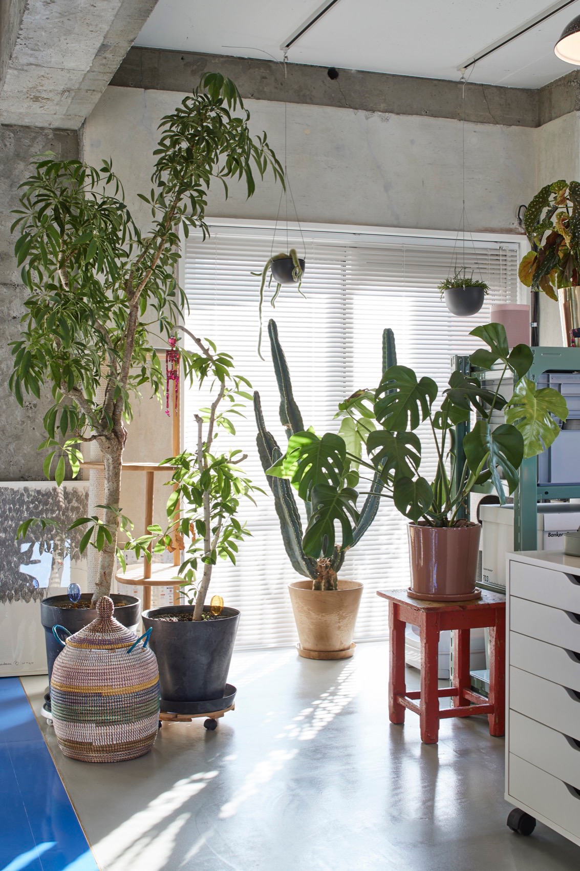 东京蓝色公寓，日本 / Roovice-50