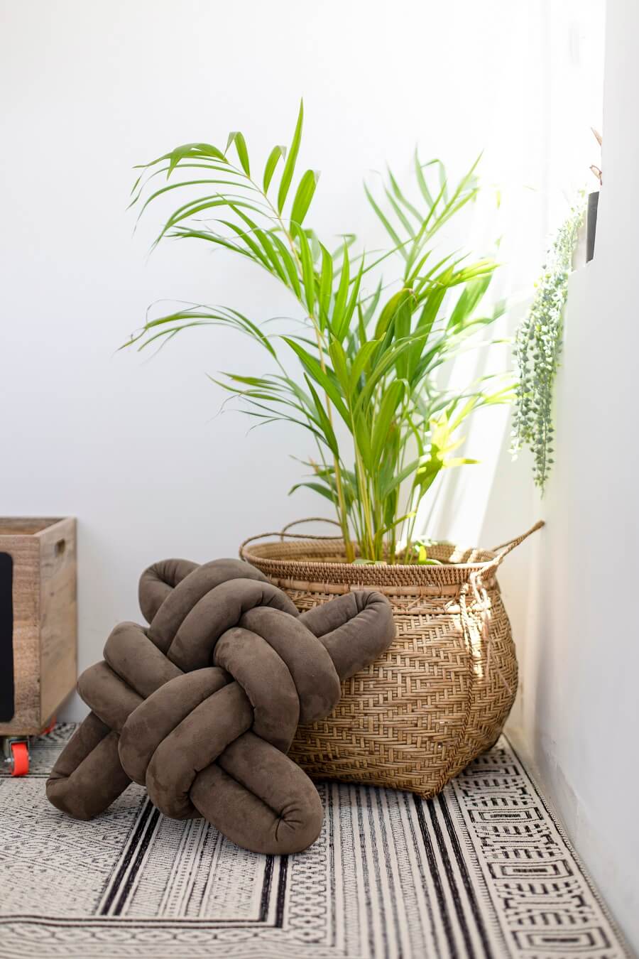 印度南部私人住宅室内设计项目丨建筑师雪莉·戈德施泰因-38