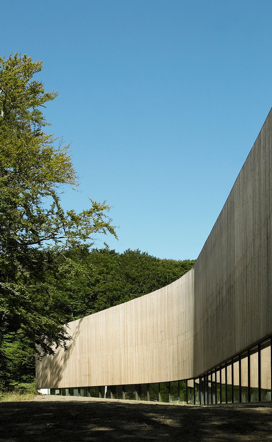 蒙斯悬崖地质中心与木板路丨丹麦-37