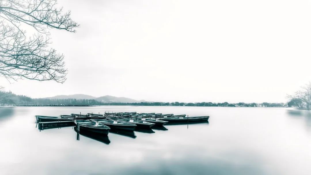 杭州大华潮悦前城 | 诗意森居，富氧之林-15