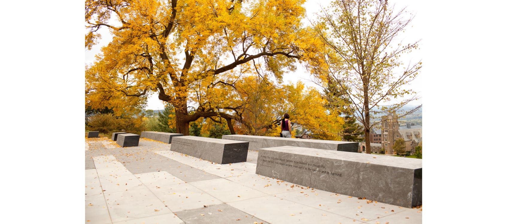 格罗夫一百五十周年纪念园 (Cornell Sesquicentennial Grove)-18