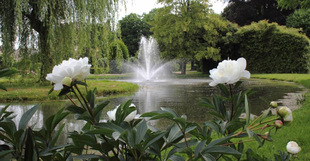 丨法国丨景观园艺师兼园艺工程师Faure Laurent-6