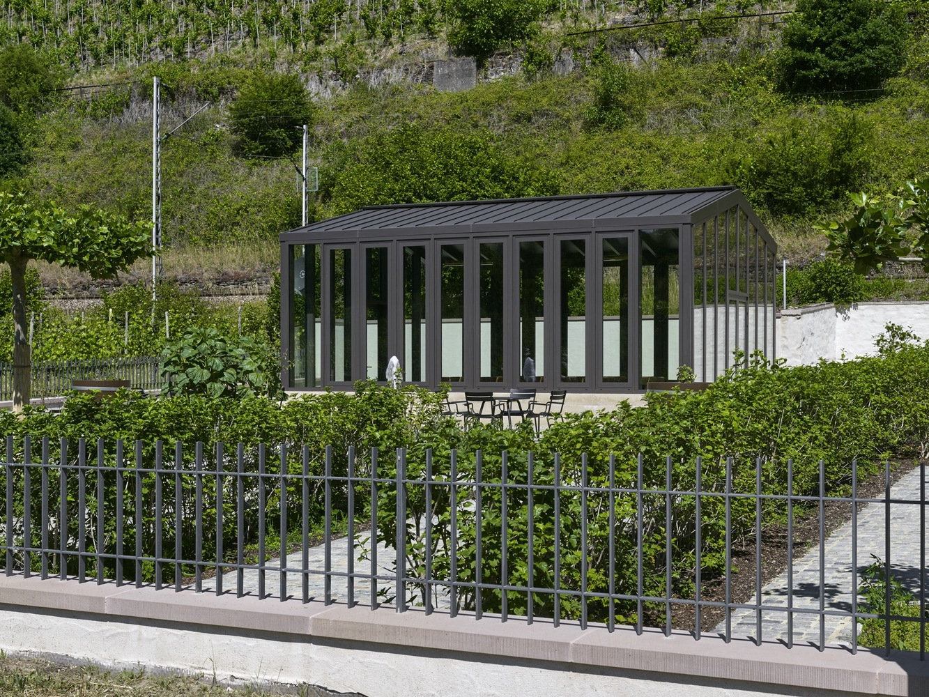 德国古堡酒庄的现代重生-57