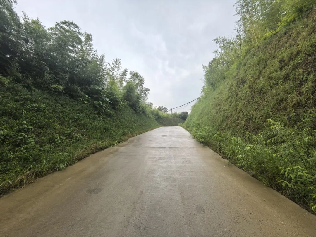 【一线写真】于群峰云海间，绘就生态文旅新画卷-53