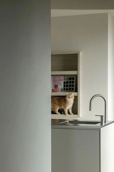 信达公园里丨中国合肥丨佐岩艺作-56