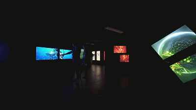 视界 | AI数字乐园,置身于外星生物组成的海底世界!-26