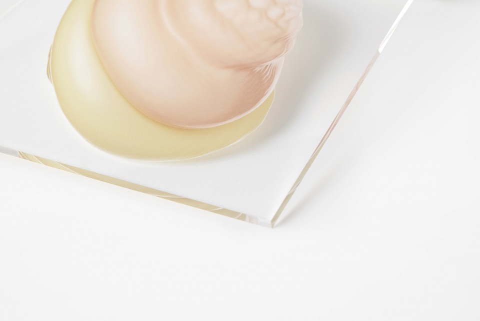 《弹力》空间设计,展现瞬间弹力与反冲之美-49