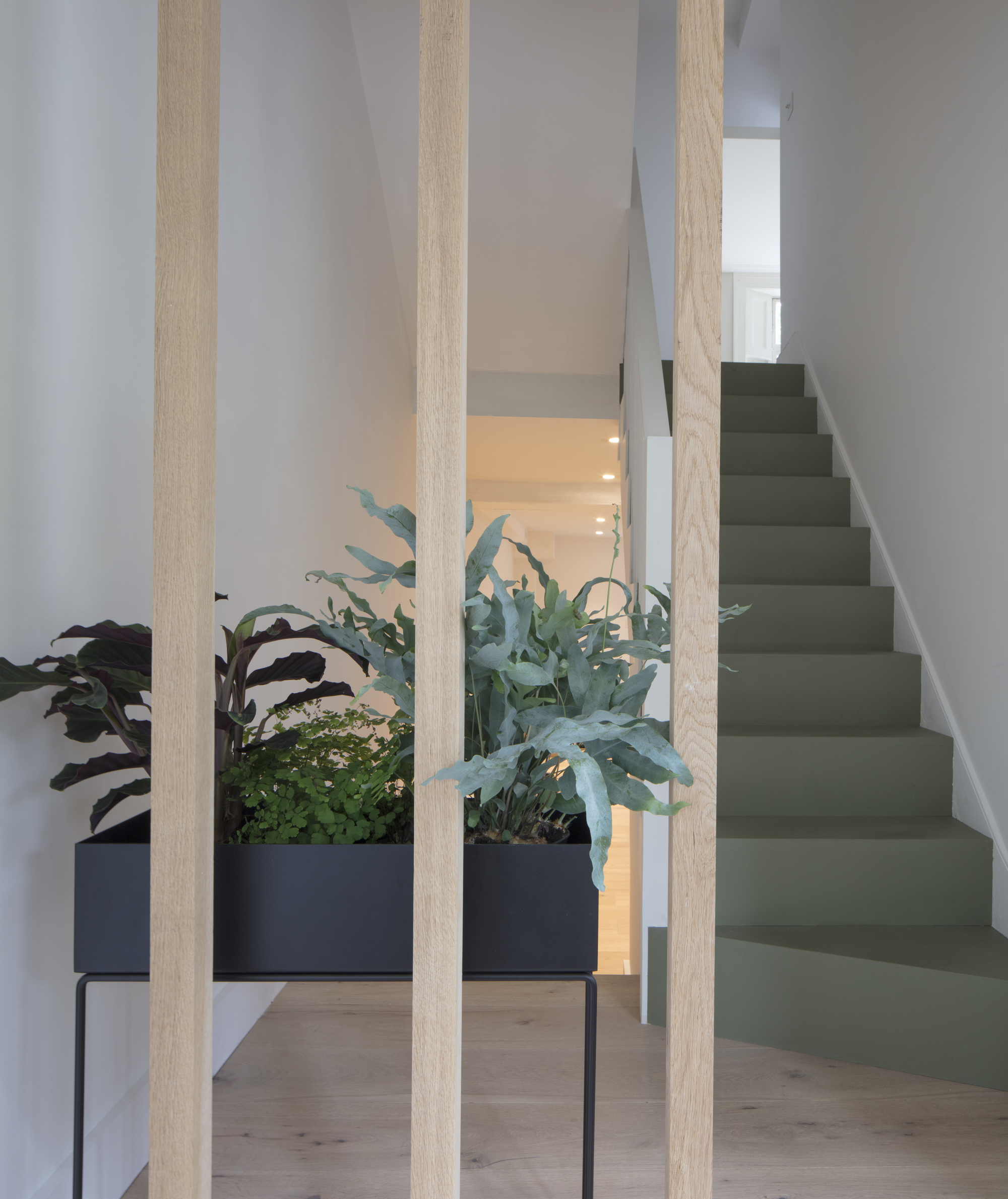 绿意盎然的书店之家 | 温馨雅致与环保并重-29