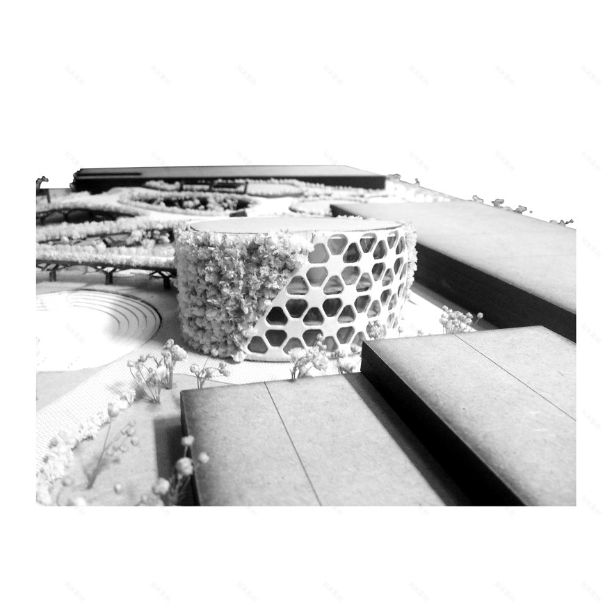 FIBAATA 文化中心丨哥伦比亚昆迪纳马卡-30