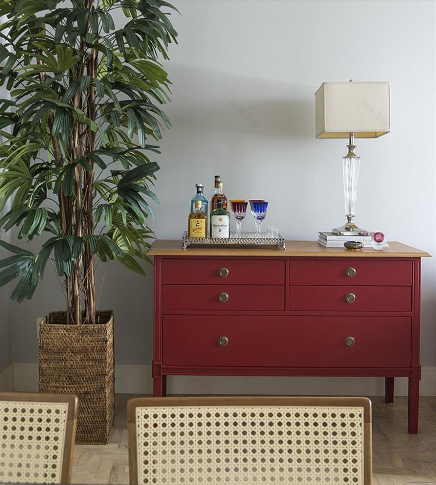 圣保罗 Alameda Jaú住宅设计-3