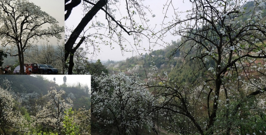 不在山林·山谷石窑丨中国泸州丨小隐建筑-10