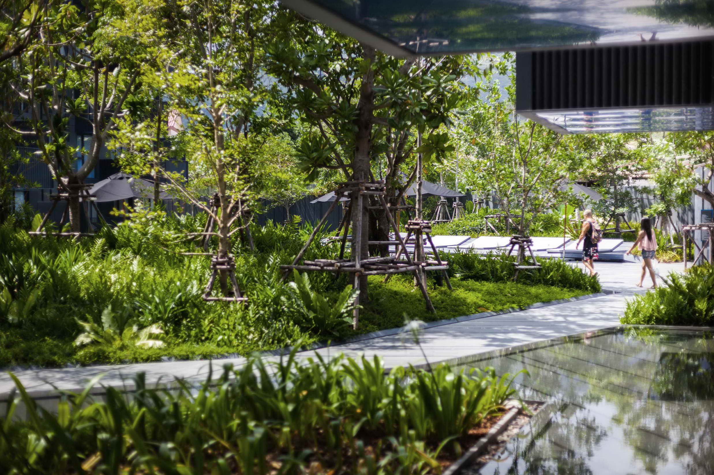 泰国普吉岛 The Deck Patong 公寓 | 融入自然的景观设计-25